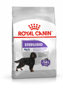 Aliment super premium pour chien stérilisé de 26 à 44 kg MAXI STERILISED ROYAL CANIN