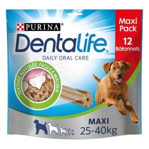 DENTALIFE MAXI X12 426GR