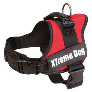 HARNAIS XTREME DOG ROUGE S