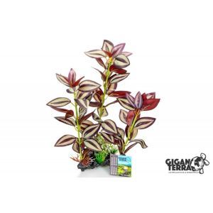 PLANTE AQUA 663 H 35 CM