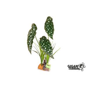 PLANTE EFFET MOUILLÉ 846 30 X 16 X 48 CM