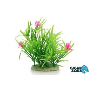 PLANTE SUR PIED 12 CM 521