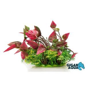PLANTE SUR PIED 12 CM 525