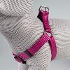 HARNAIS STEP IN FASHION EXPLOR FUSHIA XXS