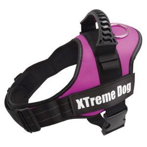 HARNAIS XTREME DOG ROSE M