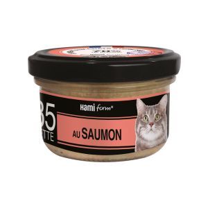 LES CUISINES RECETTE N°35 AU SAUMON 80 GR