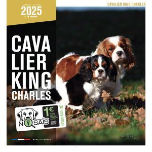 CALENDRIER CAVALIER KING CHARLES 2025