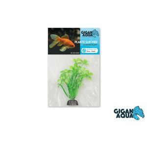 PLANTE AQUA FLOTTANTE 10 CM 501