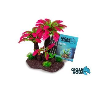 PALMIER FUSHIA 10 CM