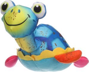 JOUET CLORA TORTUE