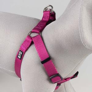 HARNAIS STEP IN FASHION EXPLOR FUSHIA S