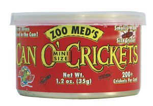 CAN O'CRICKETS MINI GRILLONS 35 GR