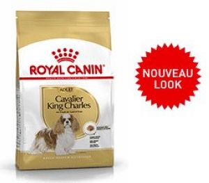 Croquette pour CAVALIER KING CHARLES adulte ROYAL CANIN