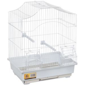 CAGE LAMPUNG