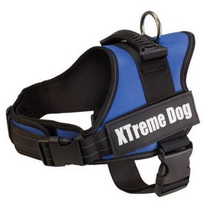 HARNAIS XTREME DOG BLEU L