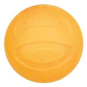 AQUA TOY BALLE 6 CM