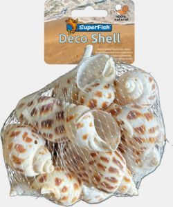 COQUILLAGES BULOTS BRUN / BLANC 200 GR