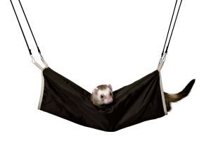 TUNNEL POUR FURET