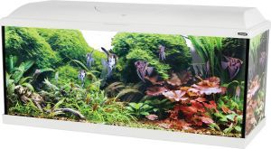 AQUARIUM ISEO 100 LED BLANC