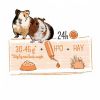 PUUR COCHON D'INDE 0.7 KG