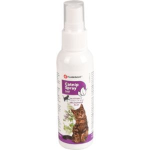 CATNIP SPRAY 60 ML