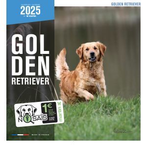 CALENDRIER GOLDEN RETRIEVER 2025