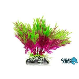 PLANTE AQUA 10 CM 669