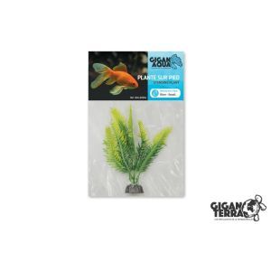 PLANTE AQUA FLOTTANTE 10 CM 504