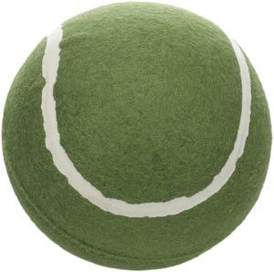 BALLE DE TENNIS SMACH VERT XL