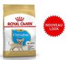 Croquette pour chiot CHIHUAHUA ROYALCANIN