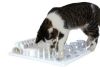 JEU DE STRATEGIE FUN BOARD POUR CHAT