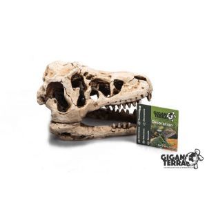 T-REX 17 CM