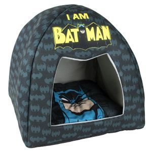 DOME BATMAN
