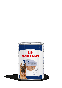 MAXI AGEING CAN EN MOUSSE 410 GR