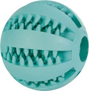 JOUET BALLE DENTA FUN 6 CM