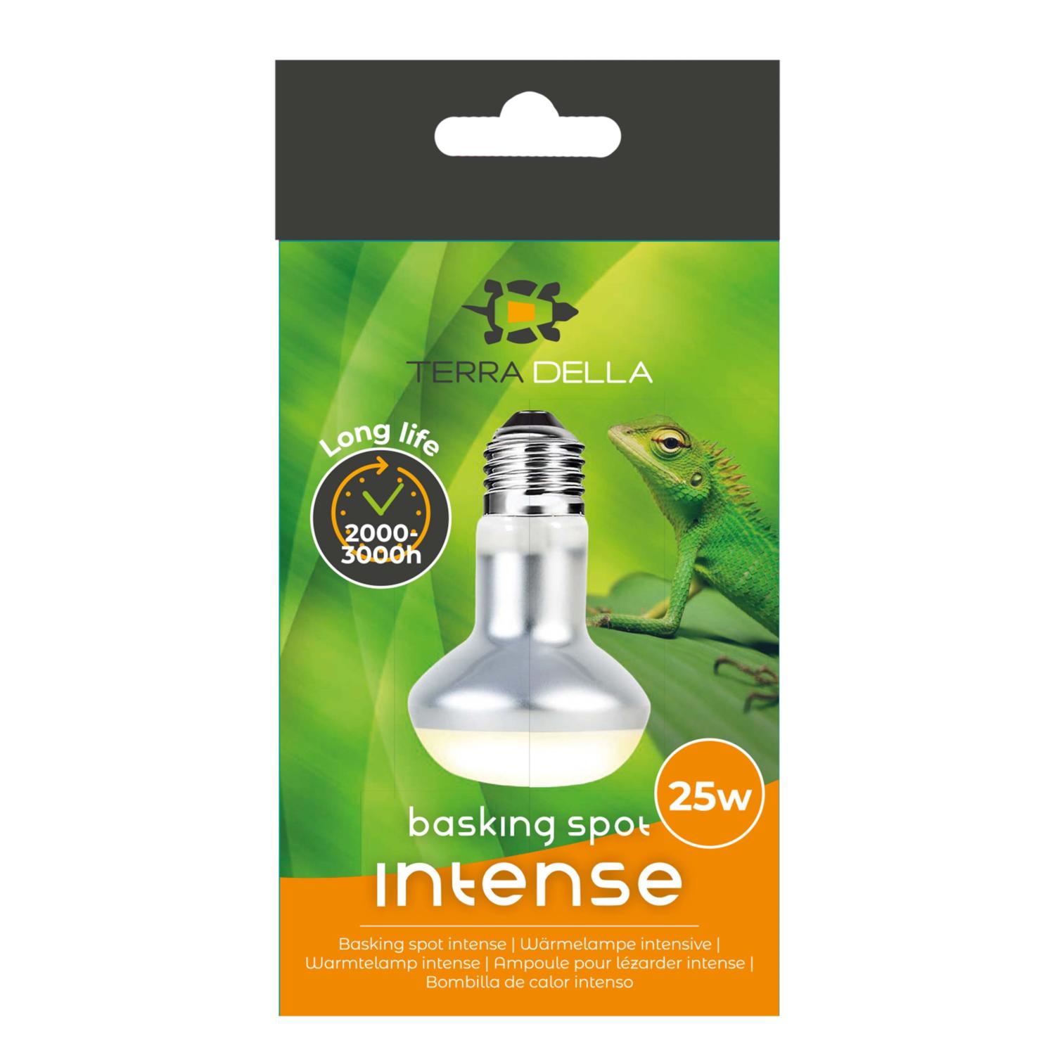 LAMPE INTENSE TERRA DELLA 25 W