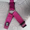 HARNAIS STEP IN FASHION EXPLOR FUSHIA XS