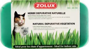 HERBE A CHAT DEPURATIVE ZOLUX