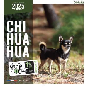 CALENDRIER CHIHUAHUA 2025