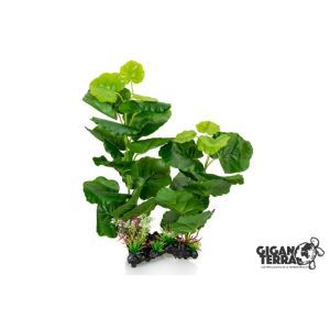 PLANTE AQUA 35 CM 665