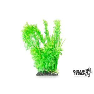 PLANTE AQUA 30 CM 656