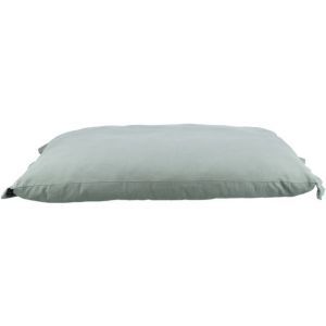 COUSSIN AMELIE SAUGE 80 CM