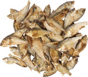 NATURE SPRAT 100 G
