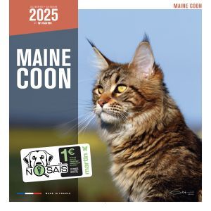 CALENDRIER MAINE COON 2025