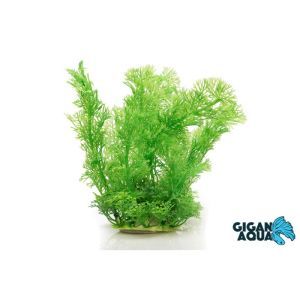 PLANTE SUR PIED 18/22 CM 540