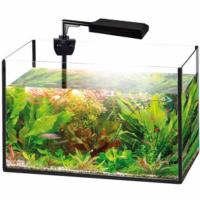 ECLAIRAGE LED POUR AQUARIUM TRINITY ARGENT