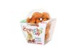CRUNCHY CUP CARROTE/LIN