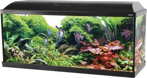 AQUARIUM ISEO 100 LED NOIR