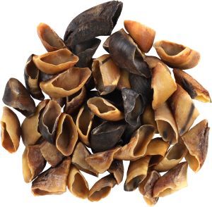 NATURE SABOT DE VACHE 4,8 KG