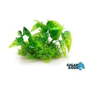 PLANTE SUR PIED 12 CM 523